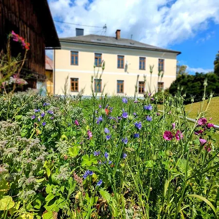 Charming In Sunny Village Apartamento *