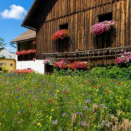 Charming In Sunny Village *